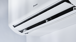 FTXM-B_Details_05.tif